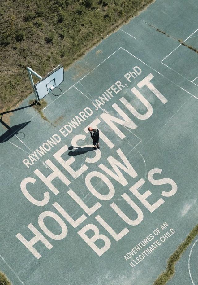 Book cover of Chestnut Hollow Blues: an aerial photograph of a weathered teal basketball court with a lone player, the title painted across the court in cream block letters